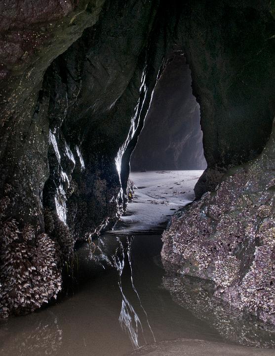 Bandon-Tunnel 8053.jpg